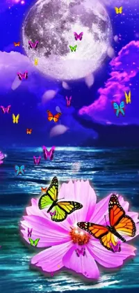 Plant Pollinator Butterfly Live Wallpaper