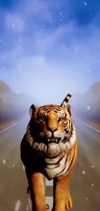 Sky Felidae Siberian Tiger Live Wallpaper