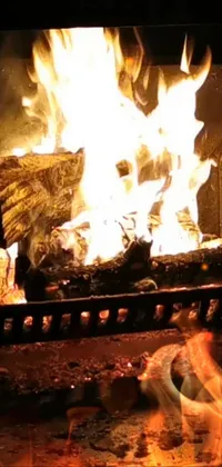 Light Flame Fire Live Wallpaper