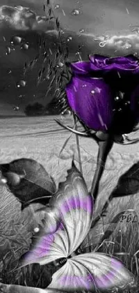 Flower Plant Purple Live Wallpaper