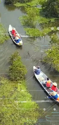 Water Boat Plant Live Wallpaper