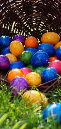 Easter Grass Sports Equipment Live Wallpaper