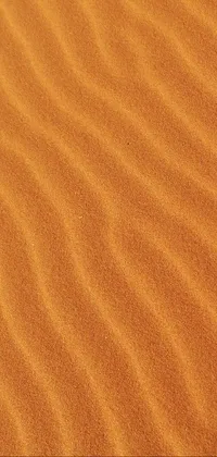 uu Live Wallpaper
