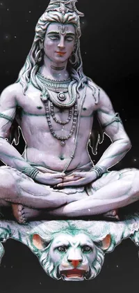 Hanumanji Live Wallpaper - free download