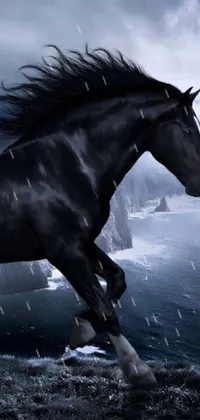 Horse Water Sky Live Wallpaper