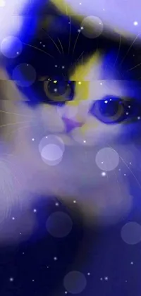 Cat Sky Felidae Live Wallpaper