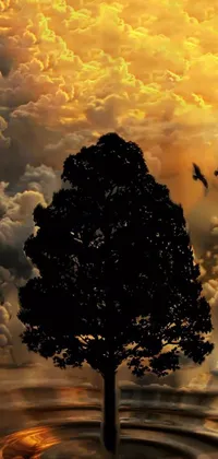 Cloud Sky Atmosphere Live Wallpaper