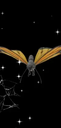 Arthropod Insect Midnight Live Wallpaper