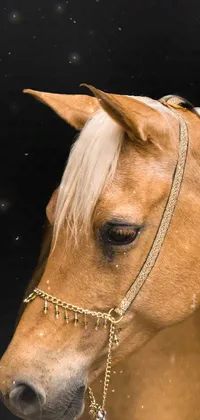 Eyelash Horse Liver Live Wallpaper