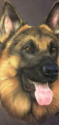 Carnivore Dog Dog Breed Live Wallpaper