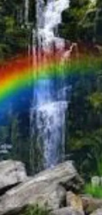 Water Waterfall Plant Live Wallpaper