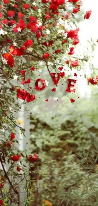 Flower Plant Grass Live Wallpaper