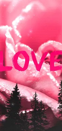Red Petal Pink Live Wallpaper