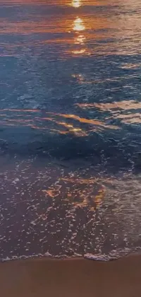 Nature Water Fluid Live Wallpaper