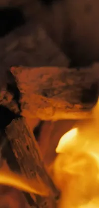 Orange Petal Fire Live Wallpaper