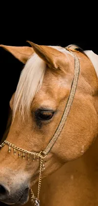 Horse Neck Liver Live Wallpaper