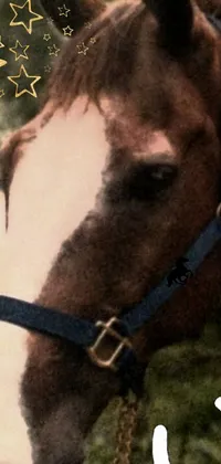 Light Horse Neck Live Wallpaper