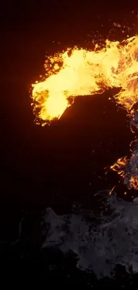 Landscape Fire Flame Live Wallpaper