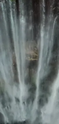 Water Waterfall Plant Live Wallpaper