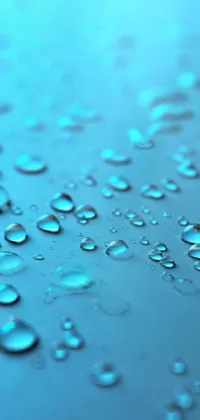 Drops: Macro Drops Dew Leaf Nature Quotes for 16:9 High, beautiful rain  drops with quotes HD wallpaper | Pxfuel