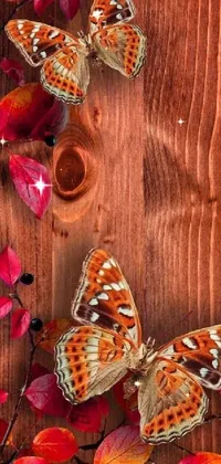 Nature Orange Brown Live Wallpaper