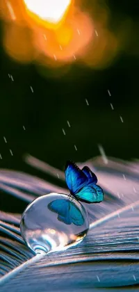 Nature Water Blue Live Wallpaper