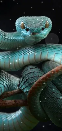 Reptile Underwater Insect Live Wallpaper