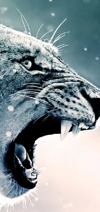 Water Carnivore Snout Live Wallpaper