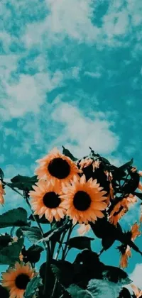 Flower Plant Cloud Live Wallpaper