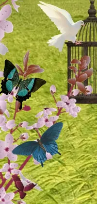 Flower Plant Petal Live Wallpaper