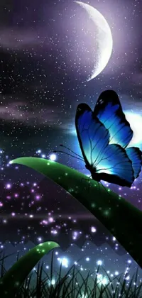 Sky Light World Live Wallpaper