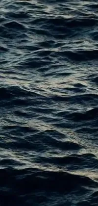 Water Lake Fluid Live Wallpaper