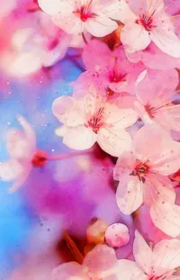 Cherry Blossom Tree Live Wallpaper - free download