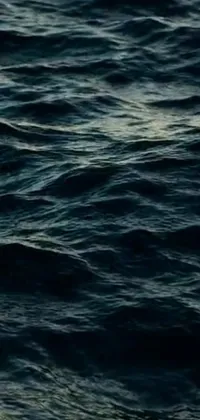 Water Lake Electric Blue Live Wallpaper