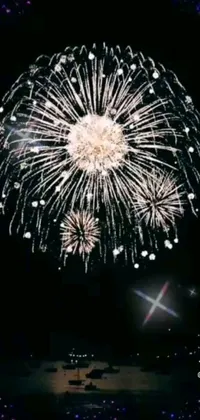 Water Sky Fireworks Live Wallpaper
