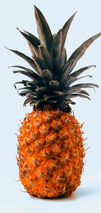 Plant Food Fruit Live Wallpaper