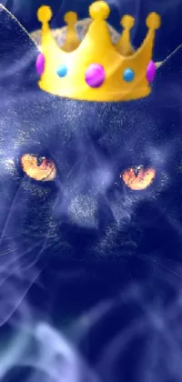 Purple Carnivore Cat Live Wallpaper