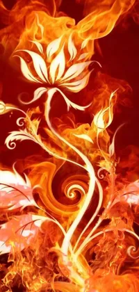 Flame Orange Art Live Wallpaper