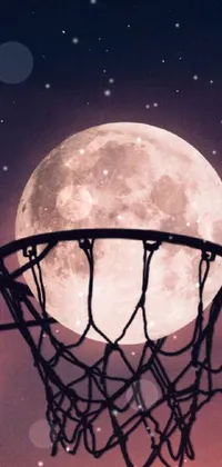 Atmosphere Basketball Photograph Live Wallpaper