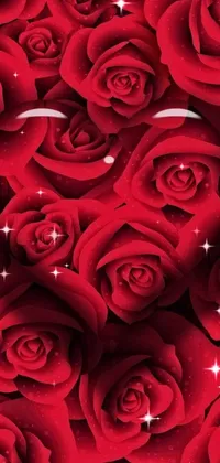 Flower Plant Photograph Live Wallpaper
