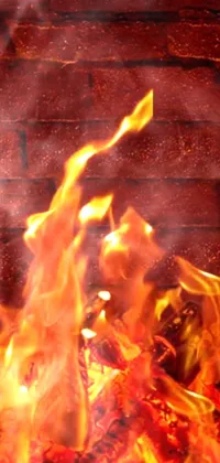Bonfire Fire Orange Live Wallpaper