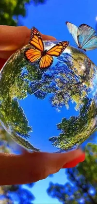 Plant Sky Butterfly Live Wallpaper