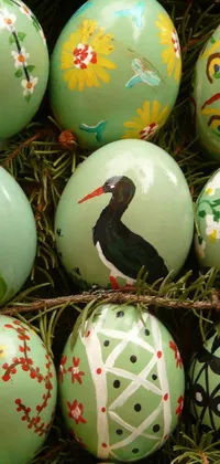 Green White Egg Live Wallpaper