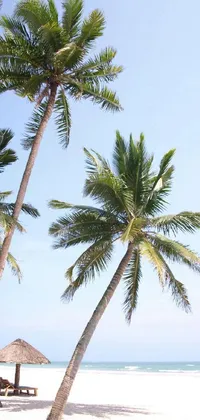 Sky Water Beach Live Wallpaper