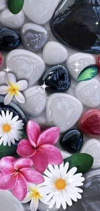 Flower White Petal Live Wallpaper