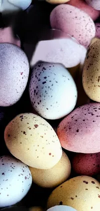 Food Vertebrate Egg Live Wallpaper