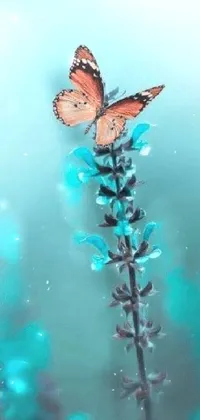 Liquid Pollinator Butterfly Live Wallpaper