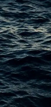 Water Liquid Fluid Live Wallpaper