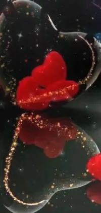 Liquid Water Plant Live Wallpaper
