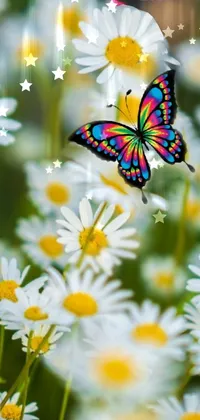 Flower Plant Pollinator Live Wallpaper